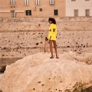 Zara Chic Yellow Long-Sleeve V-Neck Back Cut-Out Knit Mini Dress